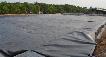 Bạt Che Khổ Lớn