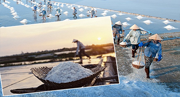 Bạt Lót Hồ Làm Muối