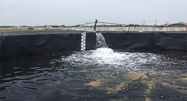 Bạt Lót Hồ Nuôi Tôm Cá