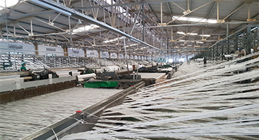 Dây Chuyền Hiện Đại