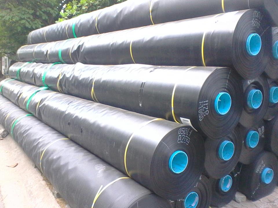 Màn Chống Thấm HDPE