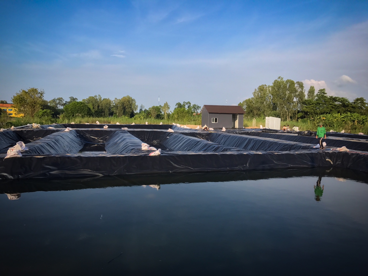 Tại sao nuôi tôm con nào cũng khỏe