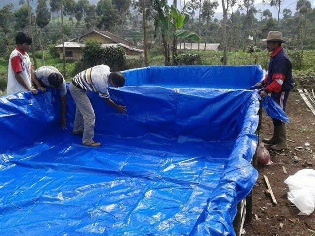 Bạt chống thấm lót hồ bơi